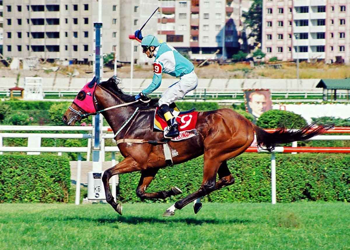 Grand Ekinoks